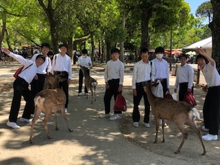 奈良公園8.jpg